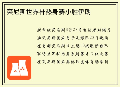 突尼斯世界杯热身赛小胜伊朗